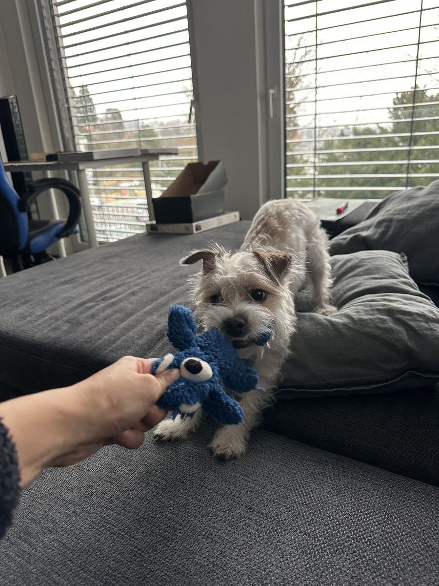 Benjy
