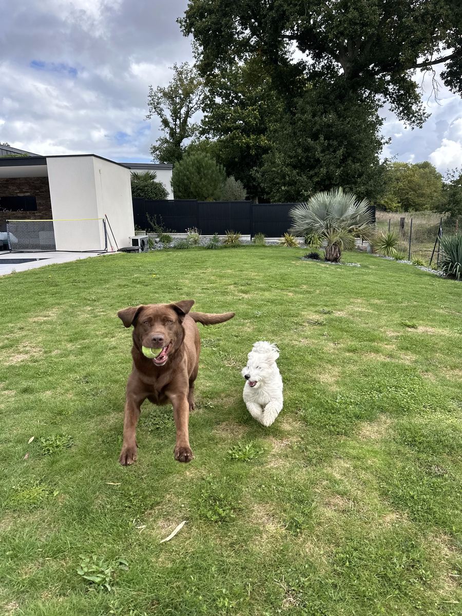 Romy & Una